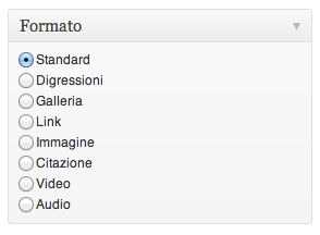 Formato Notizia